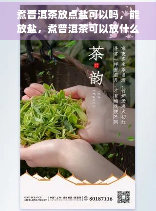 煮普洱茶放点盐可以吗，能放盐，煮普洱茶可以放什么