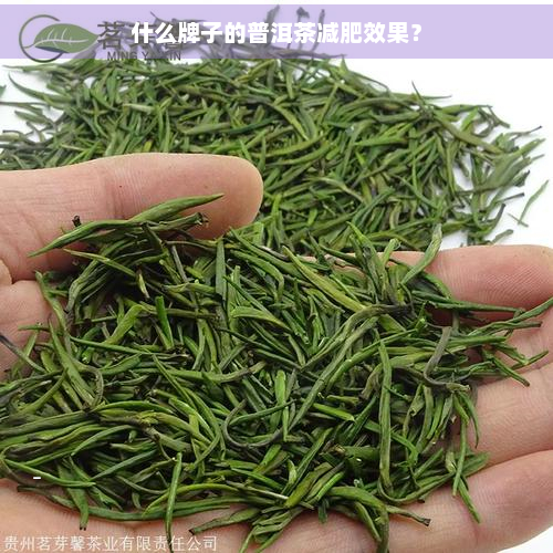 什么牌子的普洱茶减肥效果？