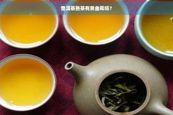 普洱茶熟茶有黄曲霉吗？