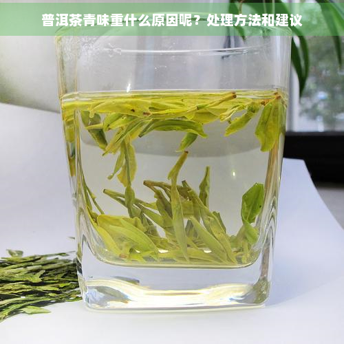 普洱茶青味重什么原因呢？处理方法和建议