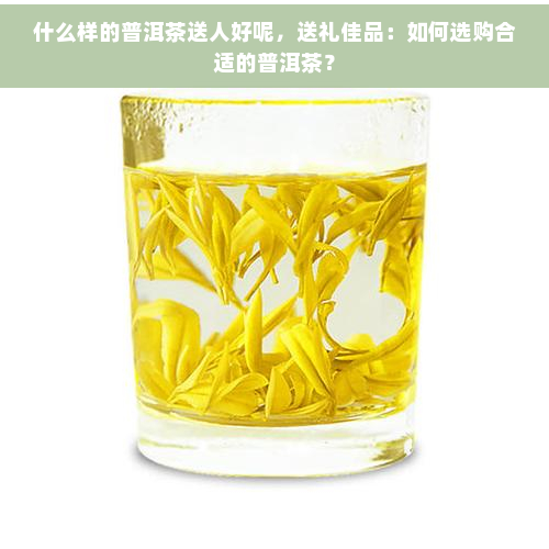 什么样的普洱茶送人好呢，送礼佳品：如何选购合适的普洱茶？