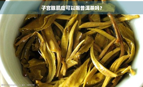 子宫腺肌症可以喝普洱茶吗？