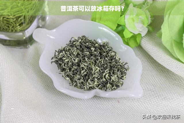 普洱茶可以放冰箱存吗？