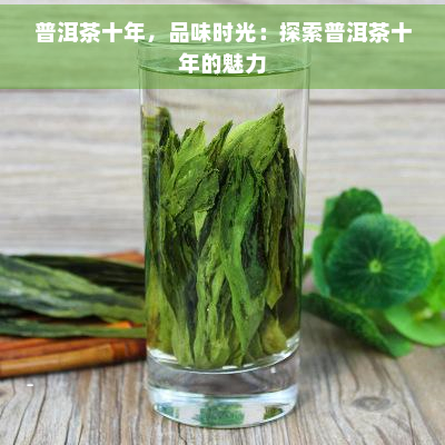 普洱茶十年，品味时光：探索普洱茶十年的魅力