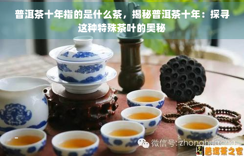 普洱茶十年指的是什么茶，揭秘普洱茶十年：探寻这种特殊茶叶的奥秘