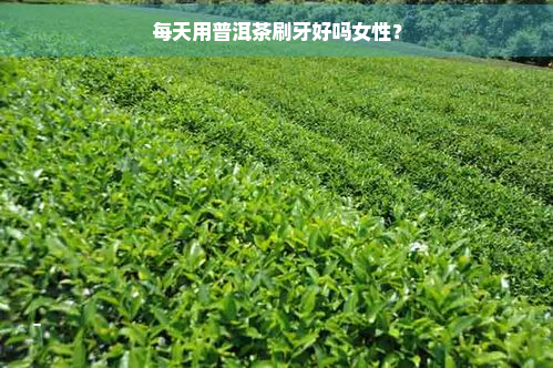 每天用普洱茶刷牙好吗女性？