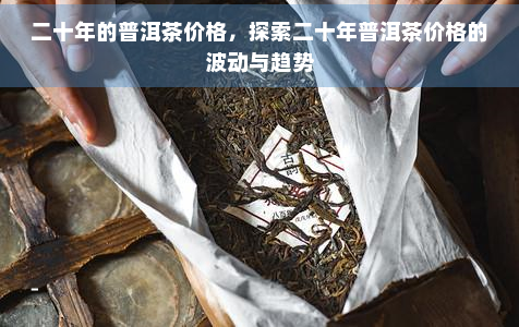 二十年的普洱茶价格，探索二十年普洱茶价格的波动与趋势