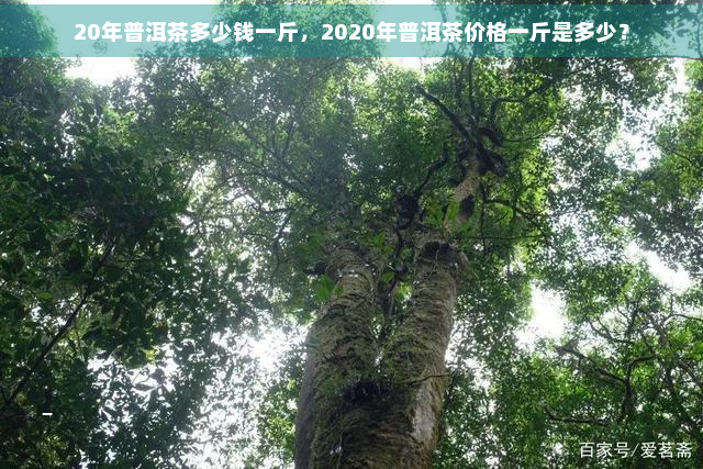 20年普洱茶多少钱一斤，2020年普洱茶价格一斤是多少？