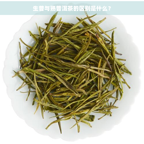 生普与熟普洱茶的区别是什么？