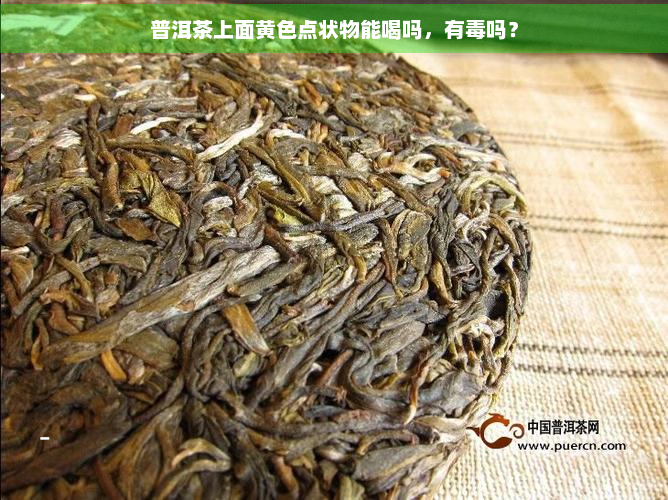 普洱茶上面黄色点状物能喝吗，有吗？