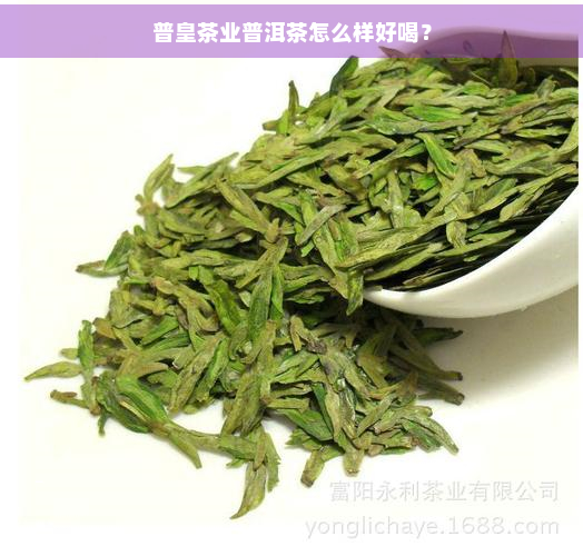 普皇茶业普洱茶怎么样好喝？