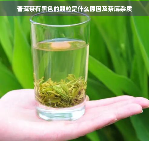 普洱茶有黑色的颗粒是什么原因及茶底杂质