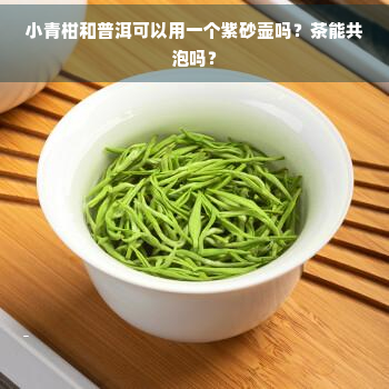 小青柑和普洱可以用一个紫砂壶吗？茶能共泡吗？