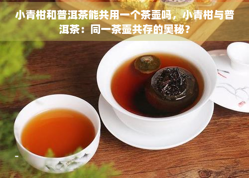 小青柑和普洱茶能共用一个茶壶吗，小青柑与普洱茶：同一茶壶共存的奥秘？