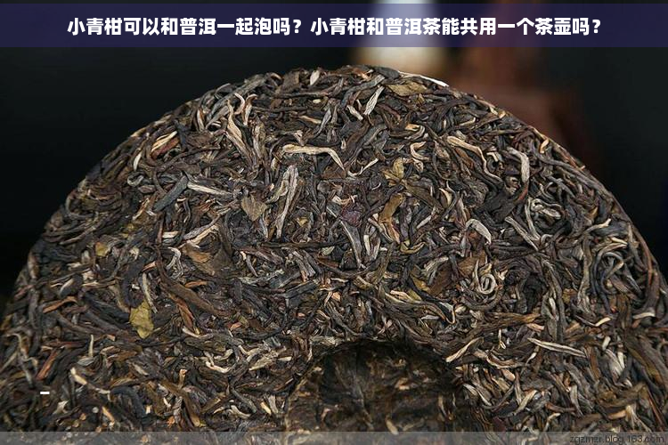 小青柑可以和普洱一起泡吗？小青柑和普洱茶能共用一个茶壶吗？