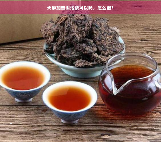 天麻加普洱泡茶可以吗，怎么泡？