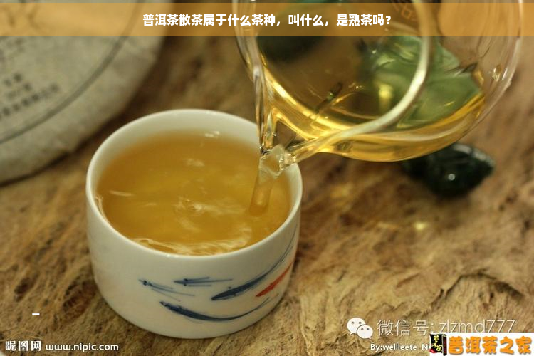 普洱茶散茶属于什么茶种，叫什么，是熟茶吗？