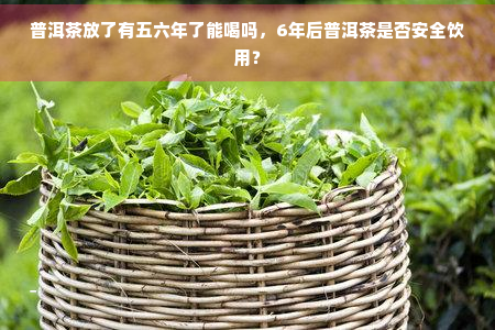 普洱茶放了有五六年了能喝吗，6年后普洱茶是否安全饮用？