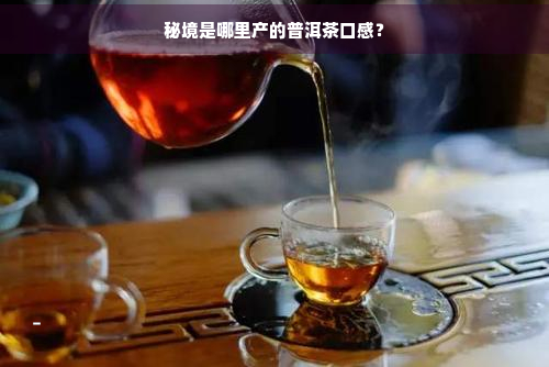 秘境是哪里产的普洱茶口感？