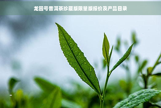 龙园号普洱茶珍藏版限量版报价及产品目录