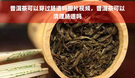 普洱茶可以穿过肠道吗图片视频，普洱茶可以清理肠道吗