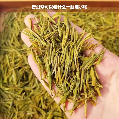 普洱茶可以和什么一起泡水喝