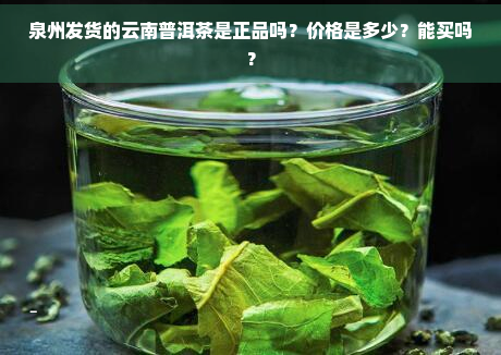 泉州发货的云南普洱茶是正品吗？价格是多少？能买吗？