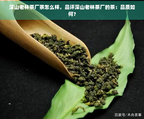 深山老林茶厂茶怎么样，品评深山老林茶厂的茶：品质如何？