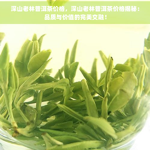 深山老林普洱茶价格，深山老林普洱茶价格揭秘：品质与价值的完美交融！