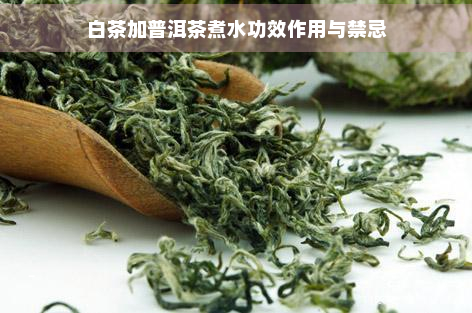 白茶加普洱茶煮水功效作用与禁忌