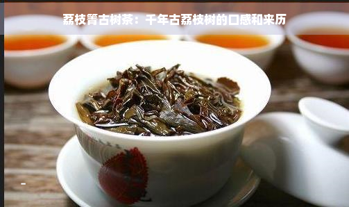 荔枝箐古树茶：千年古荔枝树的口感和来历