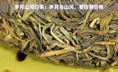 岁月山河白茶：岁月与山河，老白茶价格