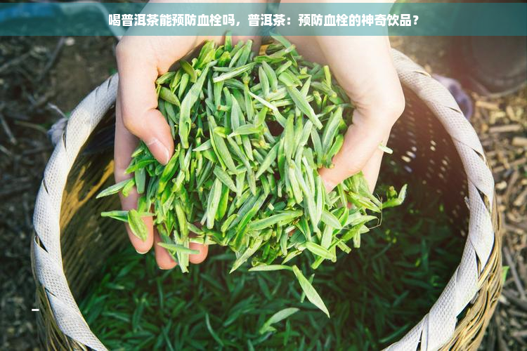 喝普洱茶能预防血栓吗，普洱茶：预防血栓的神奇饮品？