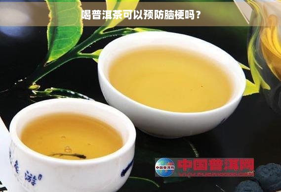 喝普洱茶可以预防脑梗吗？