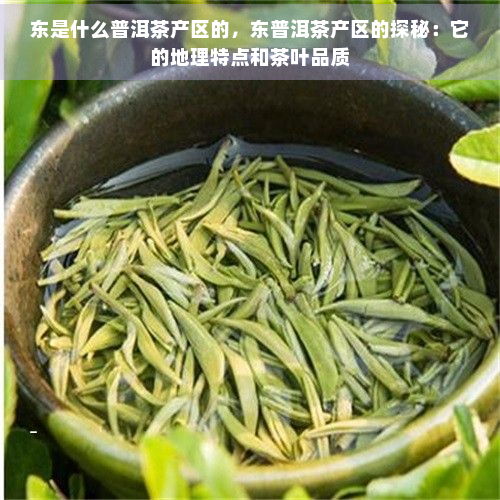 东是什么普洱茶产区的，东普洱茶产区的探秘：它的地理特点和茶叶品质