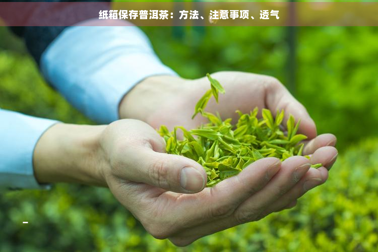 纸箱保存普洱茶：方法、注意事项、透气