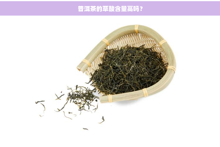 普洱茶的草酸含量高吗？