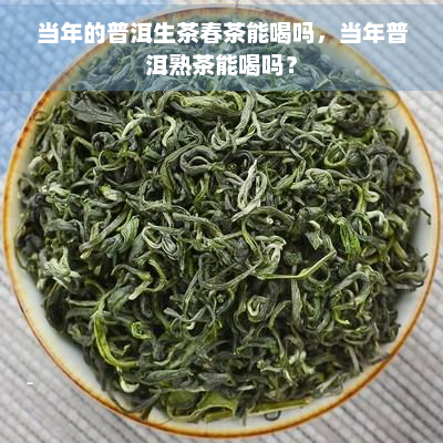 当年的普洱生茶春茶能喝吗，当年普洱熟茶能喝吗？