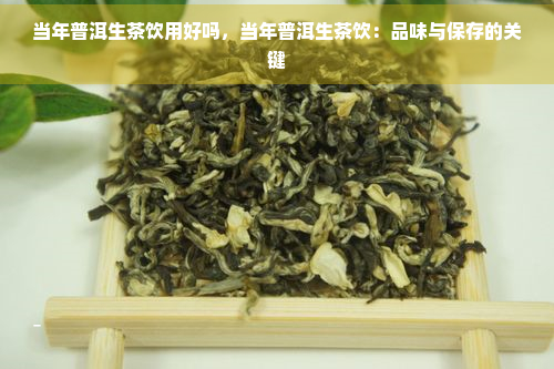 当年普洱生茶饮用好吗，当年普洱生茶饮：品味与保存的关键