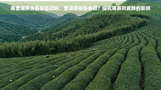 喝普洱茶去痘痘痘印吗，普洱茶祛痘去印？探究喝茶对皮肤的影响