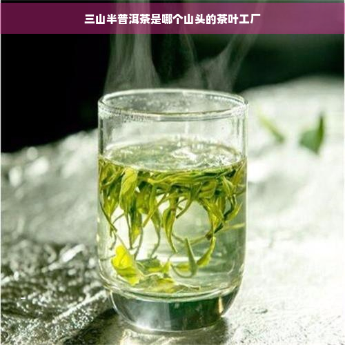 三山半普洱茶是哪个山头的茶叶工厂