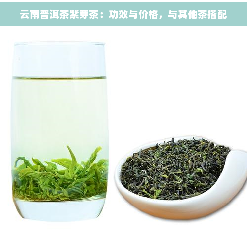 云南普洱茶紫芽茶：功效与价格，与其他茶搭配