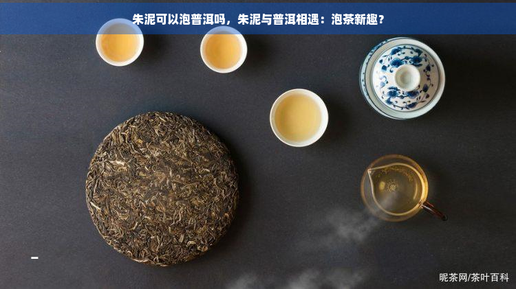 朱泥可以泡普洱吗，朱泥与普洱相遇：泡茶新趣？