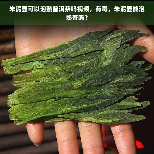 朱泥壶可以泡熟普洱茶吗视频，有，朱泥壶能泡熟普吗？