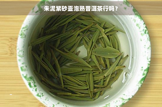 朱泥紫砂壶泡熟普洱茶行吗？