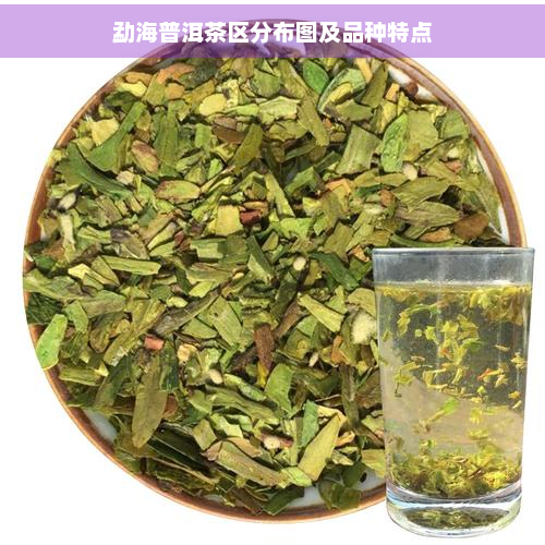 勐海普洱茶区分布图及品种特点