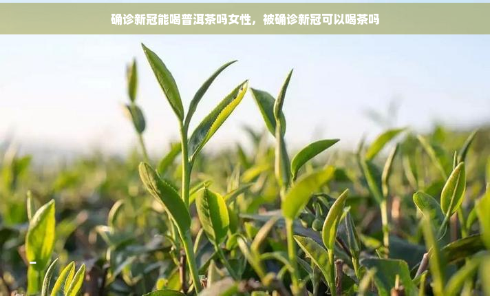 确诊能喝普洱茶吗女性，被确诊可以喝茶吗