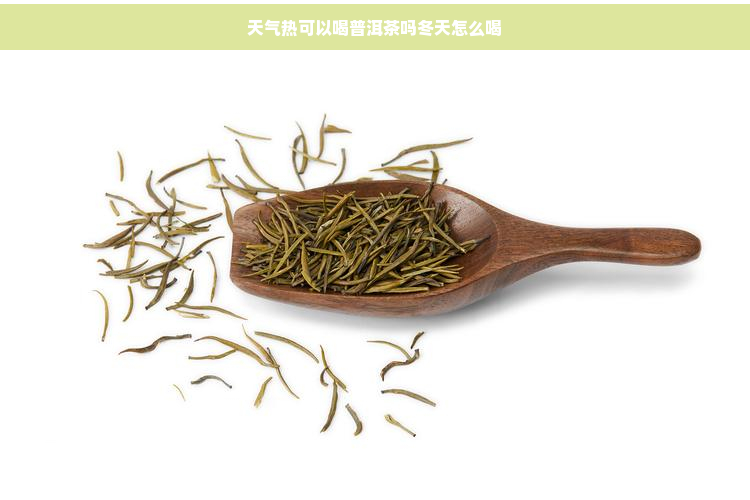 天气热可以喝普洱茶吗冬天怎么喝