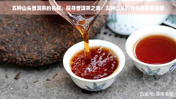 五种山头普洱茶的名称，探寻普洱茶之美：五种山头的特色茶品名揭秘