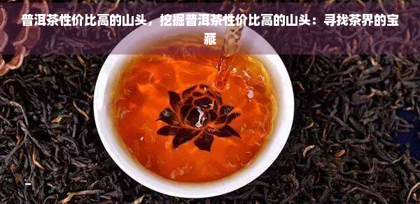 普洱茶性价比高的山头，挖掘普洱茶性价比高的山头：寻找茶界的宝藏